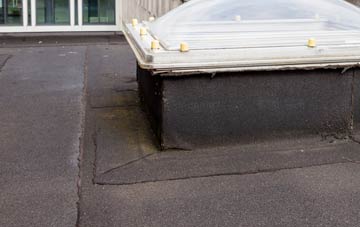 disadvantages of Harestanes flat roofs