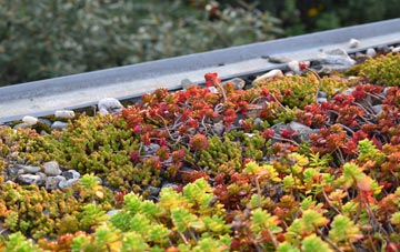 the cost of Harestanes green roof installation