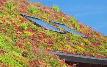 Harestanes living roof systems