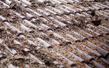 Harestanes roof cleaning companies