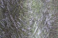 Harestanes fibreglass roof work